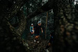 BIB: 
                            <button type="button" onclick="openModal(25677428)" class="btn btn-primary btn-sm float-right btn-popup" data-toggle="modal" data-target=".modal-high-quality">
                        <i class="fas fa-shopping-cart"></i> Add to Cart
                    </button>
                                            <button type="button" onclick="isThisMe(25677428, true)" class="btn btn-success btn-sm float-right btn-popup btn-isme hidden" data-toggle="tooltip" data-placement="bottom" title="นี่คือรูปของคุณใช่ไหม คลิกที่นี่เพื่อเอาเข้าอัลบั้ม">
                        <i class="fas fa-plus"></i> Add to album
                    </button>
                    <button type="button" onclick="isThisMe(25677428, false)" class="btn btn-warning btn-sm float-right btn-popup btn-isnotme hidden">
                        <i class="fas fa-ban"></i> Remove from album
                    </button>